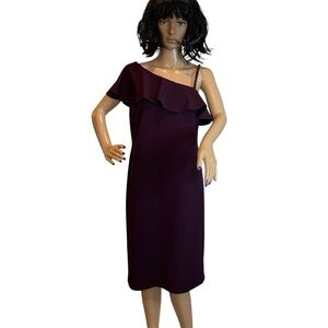 Lauren Ralph Lauren Flutter Sleeve Asymmetrical Neckline After 5 Dress Sz 10 NWT